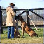 013.jpg