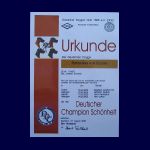 DChUrkunde.jpg
