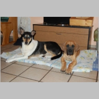 026.jpg